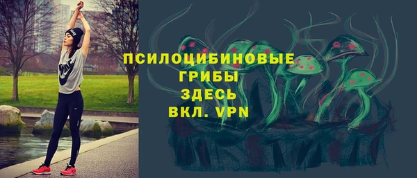 кокс Инта