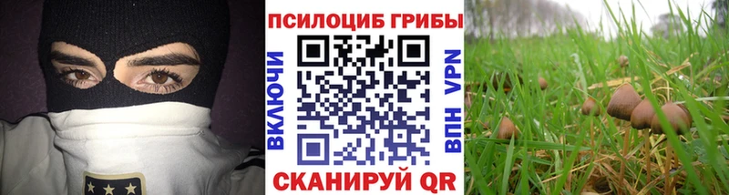 площадка состав  Ивантеевка  Псилоцибиновые грибы прущие грибы  OMG маркетплейс 